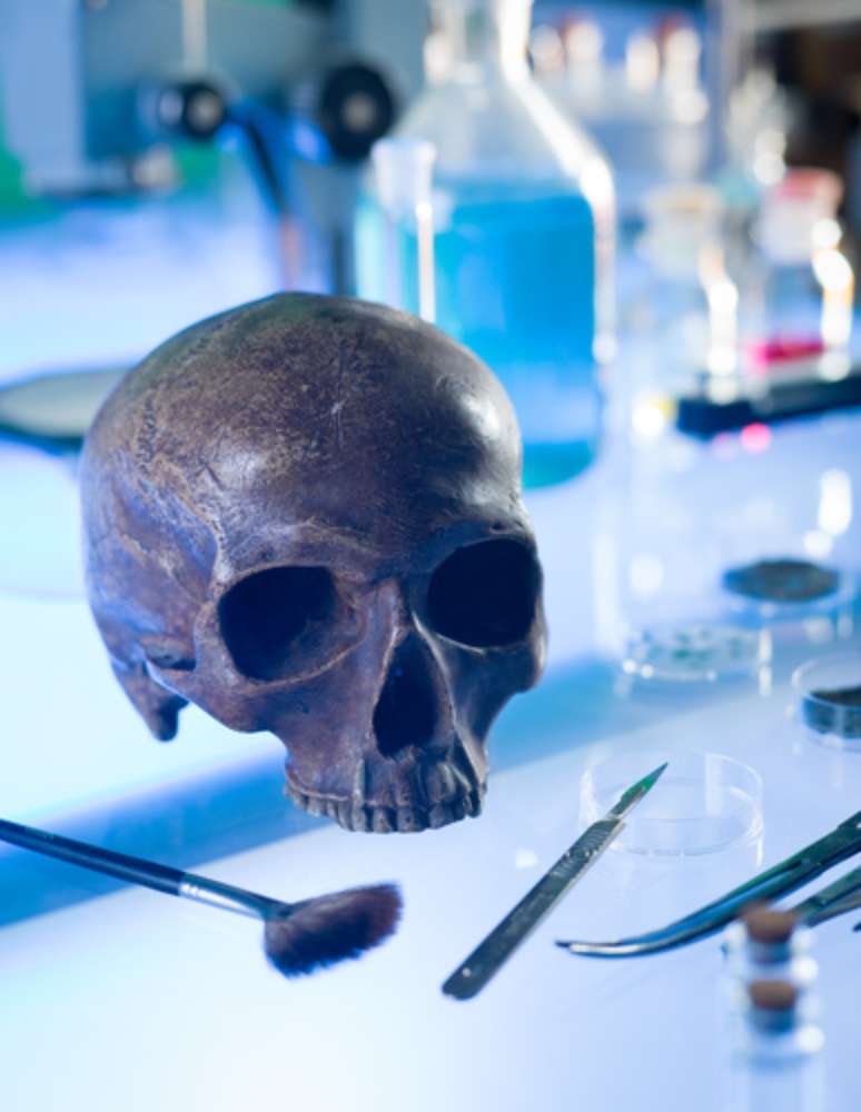 Uma pesquisa da Faculdade de Odontologia da USP chegou à conclusão que identificar um cadáver pelos seus dentes é tão eficiente quanto realizar um exame de DNA