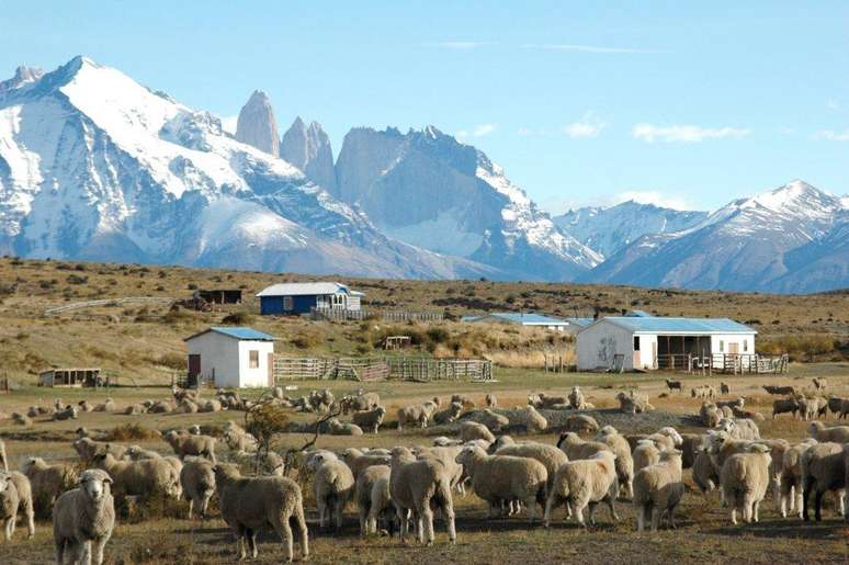 <p>Paisagem a caminho de Torres del Paine</p>