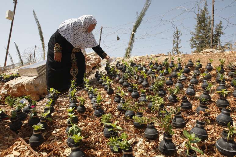 <p>Mulher palestina rega flores em seu &quot;jardim de bombas&quot;, em uma vila na cidade de Ramallah, na Cisjord&acirc;nia; as flores est&atilde;o plantadas em c&aacute;psulas de bombas de g&aacute;s lacrimog&ecirc;neo coletadas nos in&uacute;meros confrontos com as for&ccedil;as de seguran&ccedil;a israelenses</p>