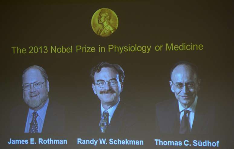 O Prêmio Nobel de Medicina de 2013 foi atribuído nesta segunda-feira aos americanos James E. Rothman e Randy W. Schekman, assim como ao alemão Thomas C. Südhof