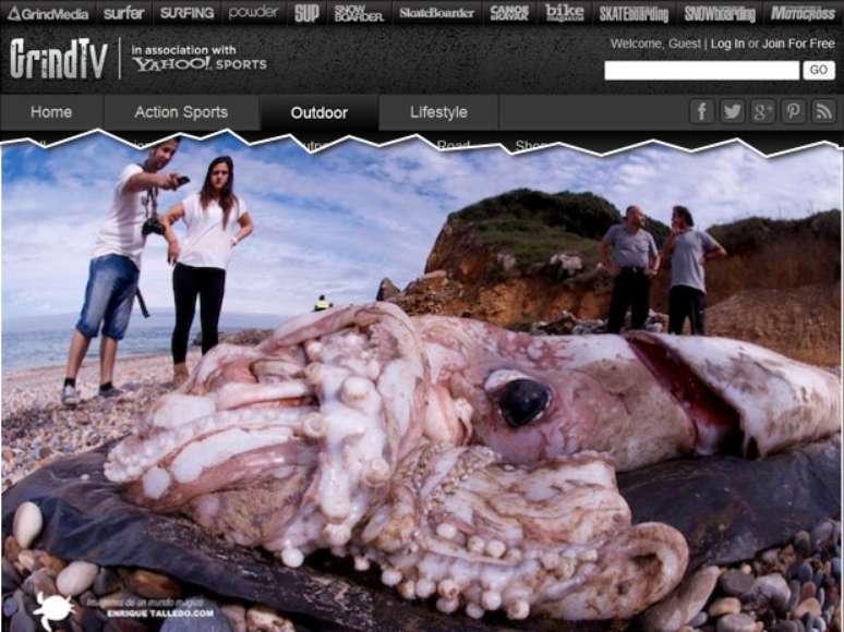 Pessoas observam corpo do animal encontrada em praia na Espanha. A imagem, feita com uma lente grande-angular, tem os cantos distorcidos na tentativa de capturar uma visão mais aberta do achado