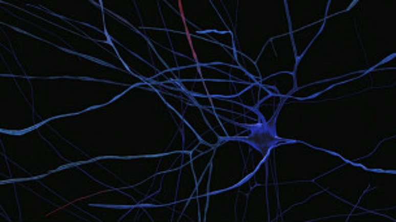 Human Brain Project mobiliza cientistas de 135 instituições