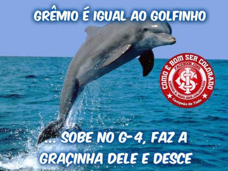 O trope&ccedil;o do Gr&ecirc;mio diante do Crici&uacute;ma, desperdi&ccedil;ando a oportunidade de se aproximar do l&iacute;der Cruzeiro, n&atilde;o foi perdoado pelos torcedores do Internacional. Nas brincadeiras feitas pelos colorados, se destacam as que ironizam o apelido de "imortal" do rival. Outro torcedor que tamb&eacute;m fez a festa nas m&iacute;dias sociais foi o s&atilde;o-paulino. Al&eacute;m de comemorar a vit&oacute;ria sobre o l&iacute;der Cruzeiro, os tricolores j&aacute; provocam o rival Corinthians, pr&oacute;ximo advers&aacute;rio da equipe, em cl&aacute;ssico que acontece no domingo. Confira os memes da rodada do Brasileiro:
