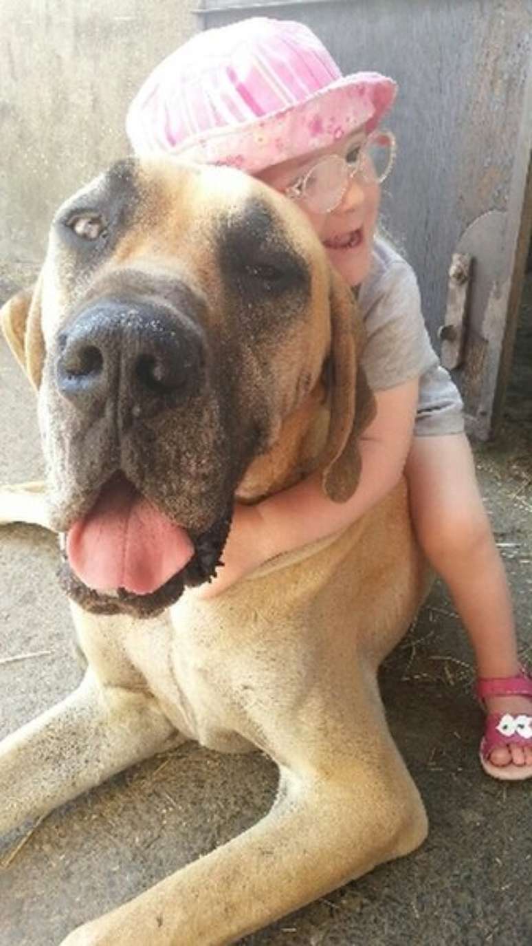 A fam&iacute;lia acredita que o dogue alem&atilde;o Charlie pode perceber mudan&ccedil;as na menina