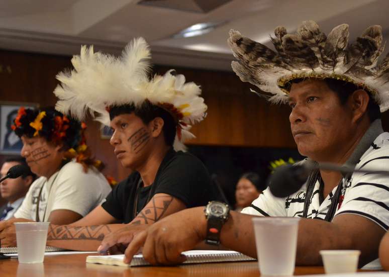 Indígenas acompanham audiência pública na Comissão de Agricultura do Senado