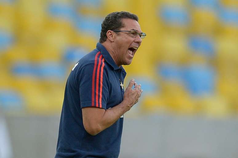 <p>Fluminense, comandado por Vanderlei Luxemburgo, est&aacute; a tr&ecirc;s pontos da zona de rebaixamento</p>