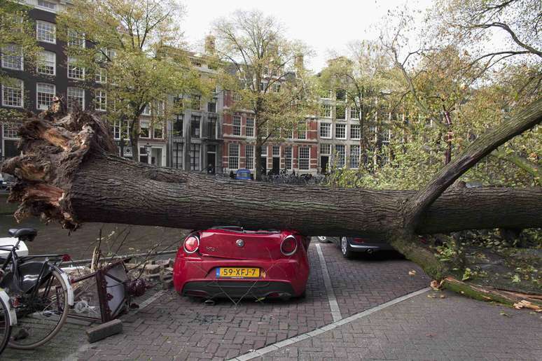 <p><strong>28 de outubro -</strong> Árvore que caiu sobre carro e matou mulher junto ao canal Herengracht, em Amsterdã, na Holanda</p>
