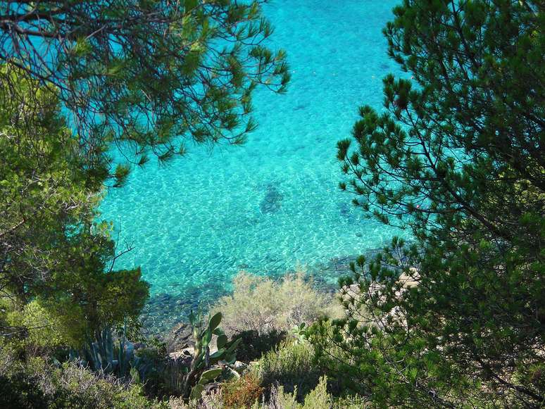 <p><strong>Ilha de Elba, Itália</strong><br />O Arquipélago Toscano é formado por sete ilhas que encantam qualquer visitante. A maior delas é a Ilha de Elba, combinando o charme e as delícias gastronômicas da Itália com a beleza e a tranquilidade do litoral banhado pelo Mediterrâneo</p>