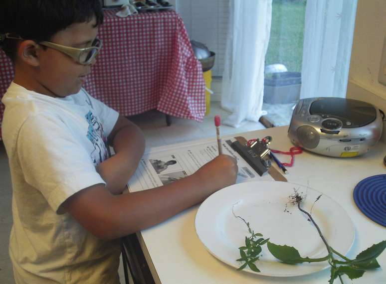 William estuda em casa há três anos e analisa plantas em algumas aulas 