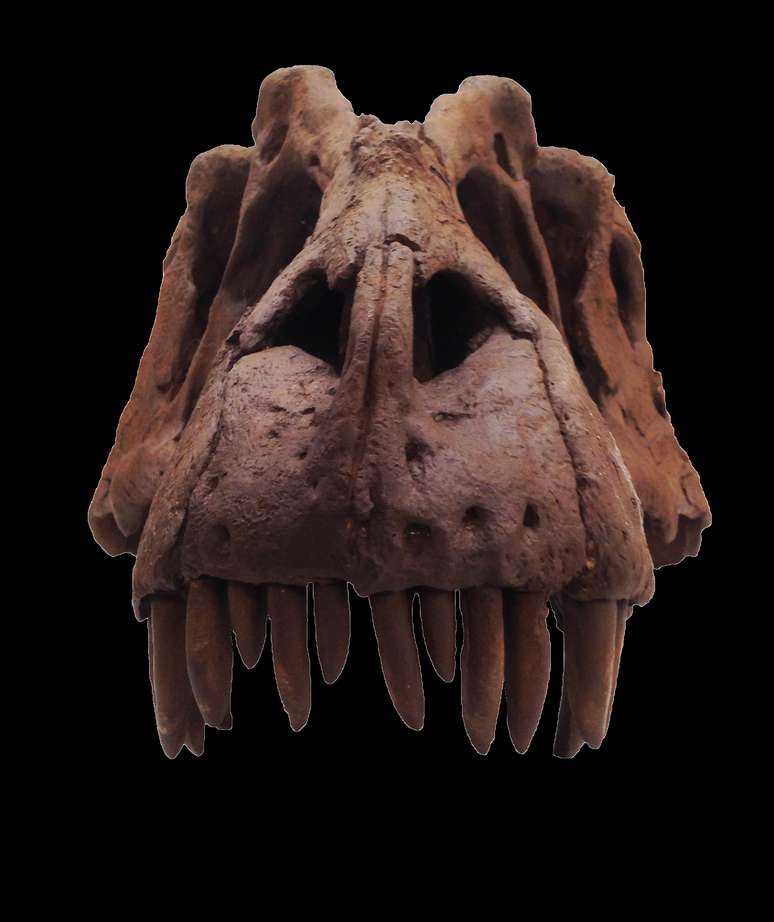 Reprodução mostra o grande predador, que viveu há pelo menos 80 milhões de anos