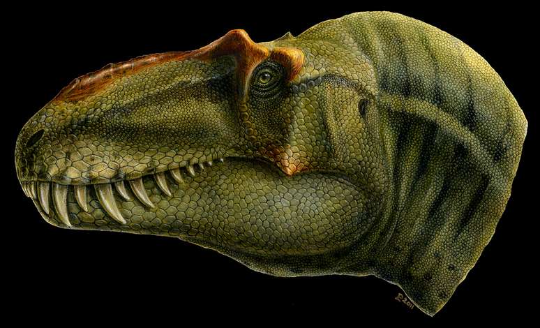 O dinossauro media cerca de 8 metros e pesava 2,5 toneladas