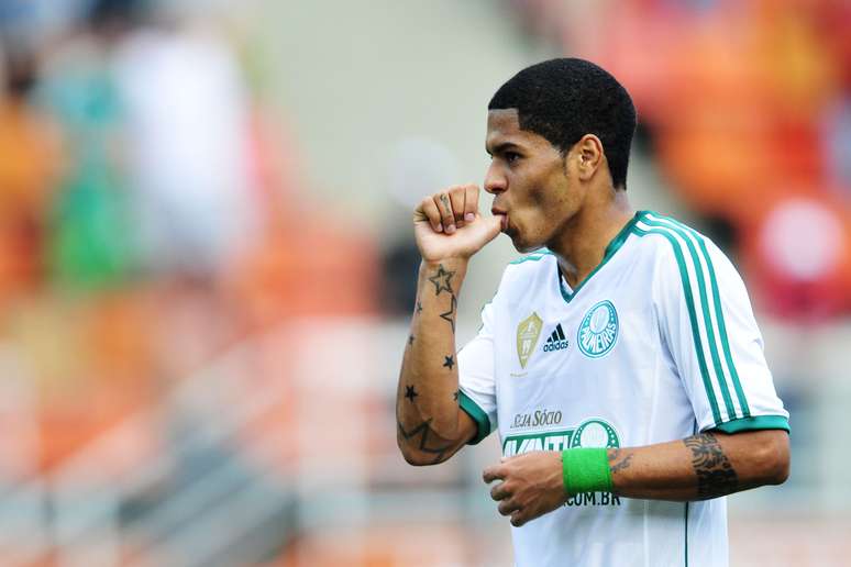 <p>Leandro foi o artilheiro do Palmeiras na temporada 2013</p>