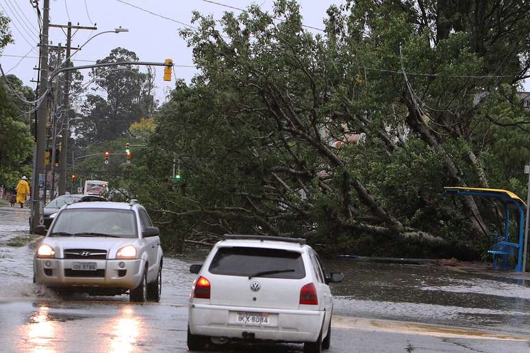Motoristas desviam de &aacute;rvore derrubada por temporal na rua Rodrigues da Fonseca, na zona sul de Porto Alegre