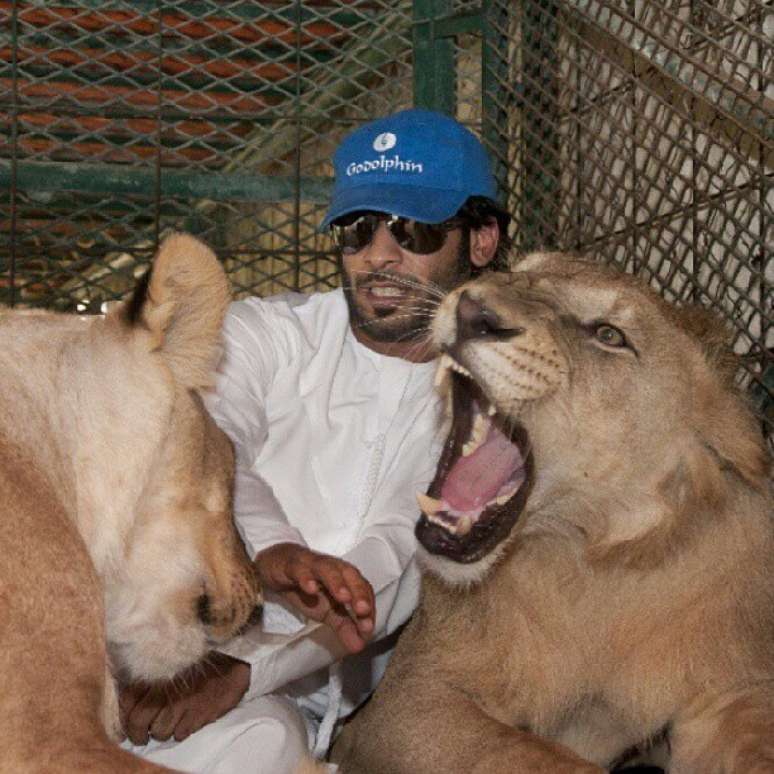 <p>Humaid AlBuQaish conseguiu 250 mil seguidores no site de compartilhamento de fotos Instagram com fotos de animais selvagens</p>