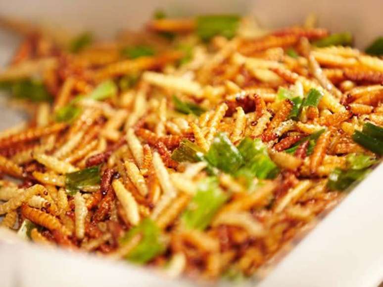 Larvas de bambu tamb&eacute;m s&atilde;o uma op&ccedil;&atilde;o para quem quiser encarar pratos com insetos