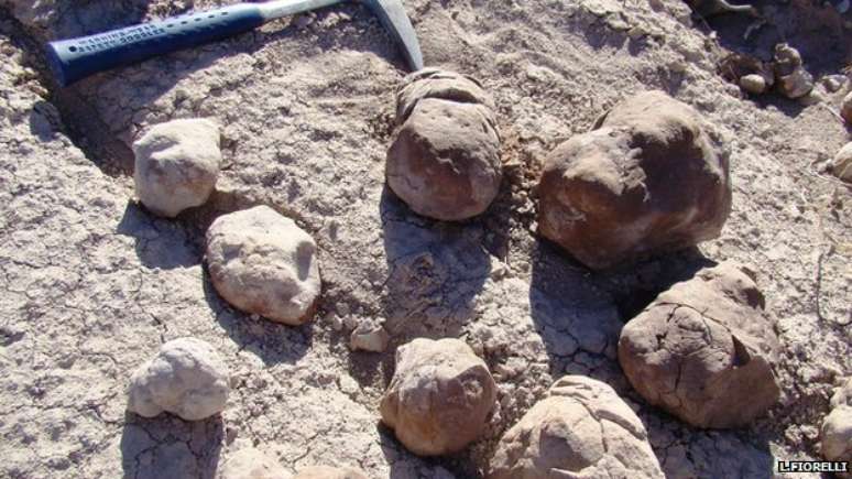 Arqueólogos encontram banheiro pré-histórico gigante na Argentina