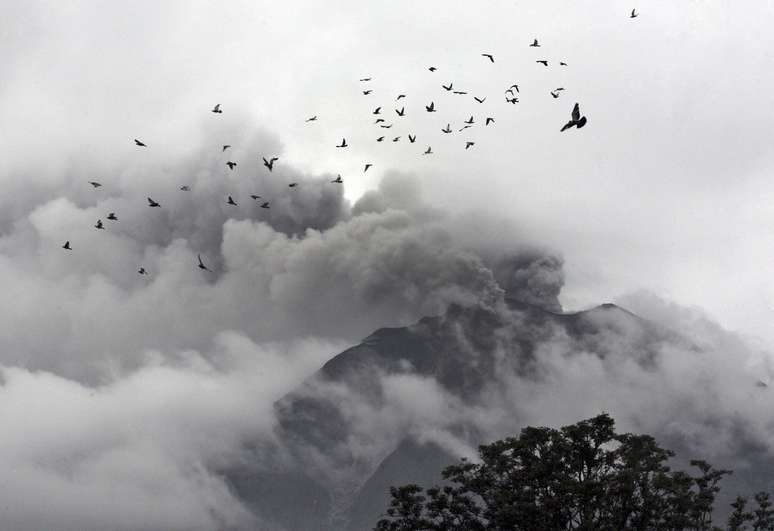 Pássaros sobrevoam nas proximidades do Monte Sinabung