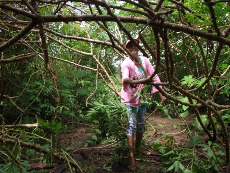 Albertina da Silva Moraes sobrevive plantando milho e mandioca no Capatará