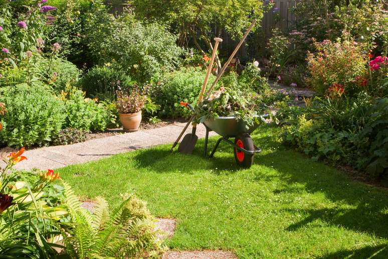 Plantar uma horta com os temperos mais comuns significa ter vegetais sempre frescos e plantas bonitas no jardim