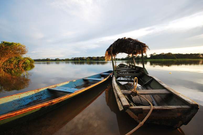 <p><strong>Amazonas     </strong>                <br />Desde sua nascente, no Peru, até o momento em que  desemboca em Belém do Pará, o rio Amazonas tem mais de 6 mil km com milhares de tributários em meio a uma das naturezas mais incríveis do planeta. Diferentes tipos de embarcações fazem trajetos pelo imponente rio, desde cruzeiros de luxo até barcos comuns, atravessando a Floresta Amazônica em sua volta. Entre Manaus e Belém, uma das viagens mais populares, o trajeto dura cinco dias, passando por trechos de selva e pequenos vilarejos à beira do rio</p>