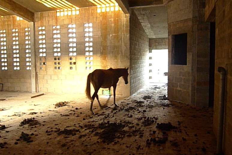 Cavalo é encontrado dentro de presídio inacabado no Maranhão