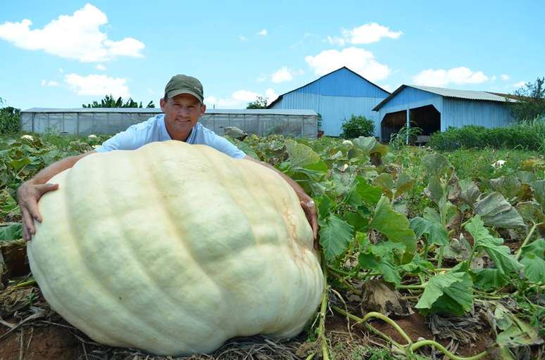 Agricultor Antonio Luiz Theisen cultivou abóbora de 286 quilos em Santa Catarina
