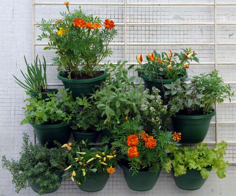 Tudo pronto! Agora, é só lembrar-se de regar sempre. A paisagista Marizeth Estrela aconselha não deixar as plantas diretamente ao sol e regar diariamente nos horários mais frios, de manhã  em dias muito quentes, também à tardezinha. É essencial ter cuidado na hora de regar. Não pode encharcar a terra nem molhar muito as folhas e flores. Se você rega na parte mais quente da tarde e molha as folhas, elas se queimam com o sol, alerta