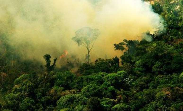 <p>A área afetada na Amazônia caiu de 1.427,99 km² para 1.162,50 km²</p>