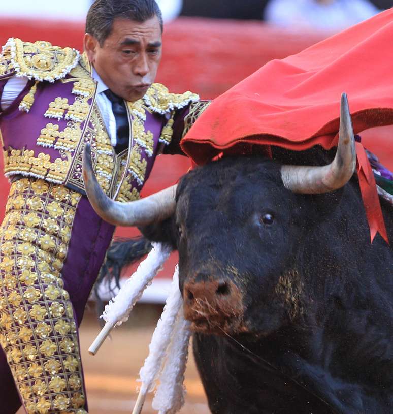 <p>Toureiro Eulalio Lopez perdeu o controle do animal durante evento. Defensores de animais tentam acabar com a tourada no país</p>