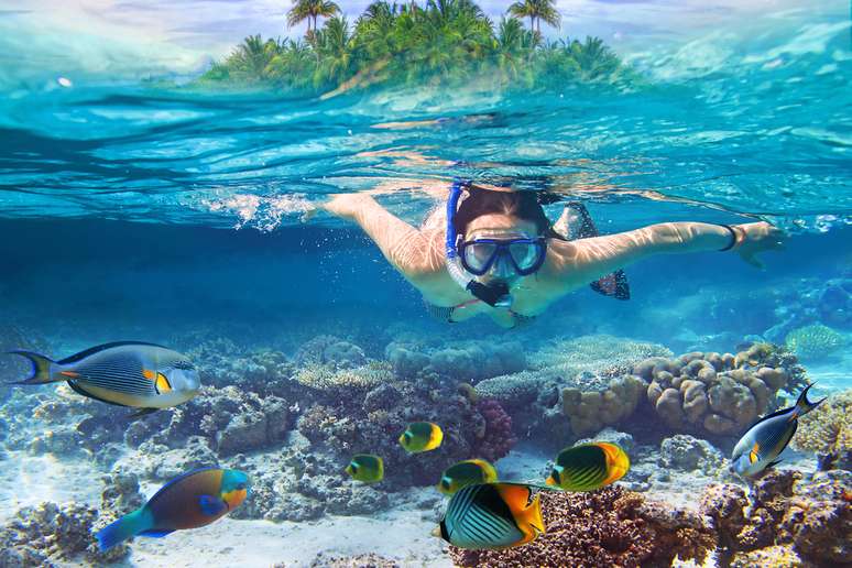 O mergulho e o snorkeling cativam os visitantes pela grande visibilidade