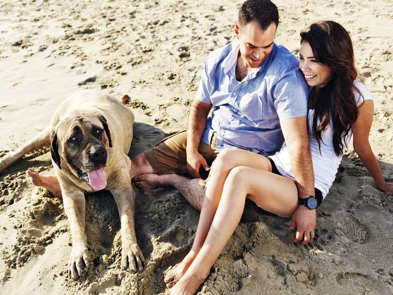 Comum durante a estação mais quente do ano, ida dos cachorros à praia pode comprometer a saúde dos próprios pets e também dos banhistas 