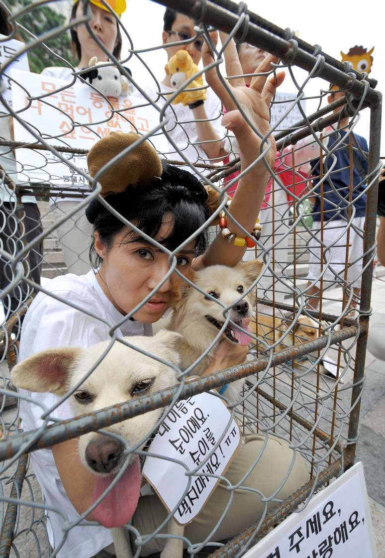 <p>Mulher protesta contra hábito alimentar dos coreanos de comer carne de cachorro</p>