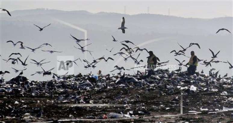 <p>Restos de comida tamb&eacute;m t&ecirc;m sobrecarregado os lix&otilde;es nos Estados Unidos. Eles representam cerca de&nbsp;21% do total de res&iacute;duos encontrados nos aterros</p>