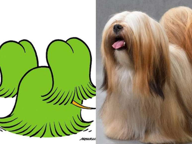 <p>O personagem Floquinho é inspirado na raça lhasa apso</p>