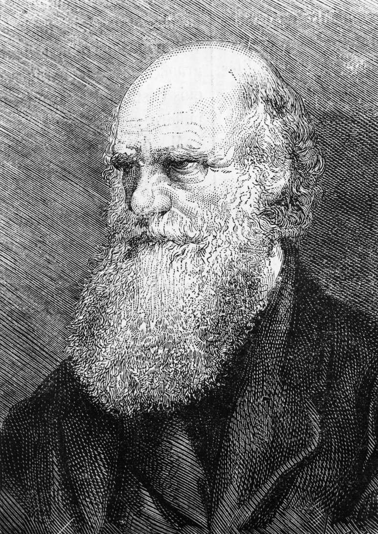 Nova teoria contradiz algumas crenças de Charles Darwin