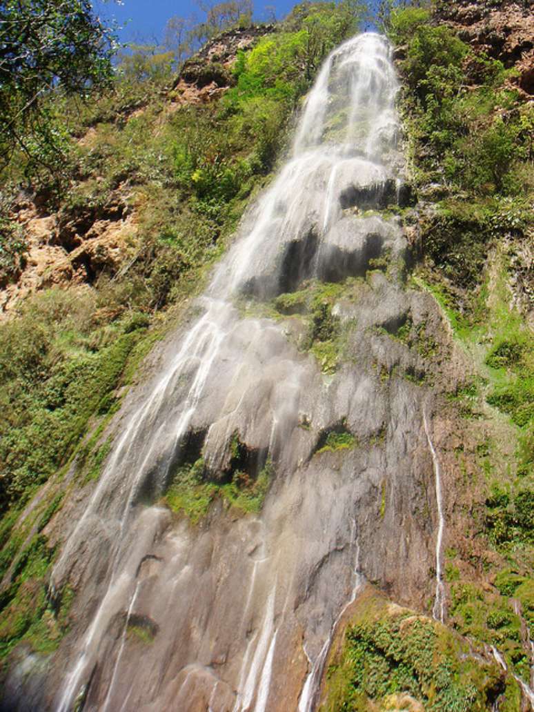 <p><strong>Boca da Onça - Mato Grosso do Sul.</strong> Com 156 metros de queda, a cachoeira localizada em Bonito, no Mato Grosso do Sul, é a maior da região. Ela tem uma das águas mais límpidas, pelo fato de sua nascente estar localizada em depósitos de calcário muito puro, com alto teor de bicarbonato</p>