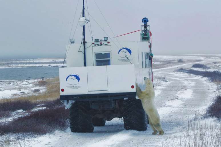 <p>O Google criou um buggy especial para andar pela tundra canadense e captar imagens dos ursos polares</p>