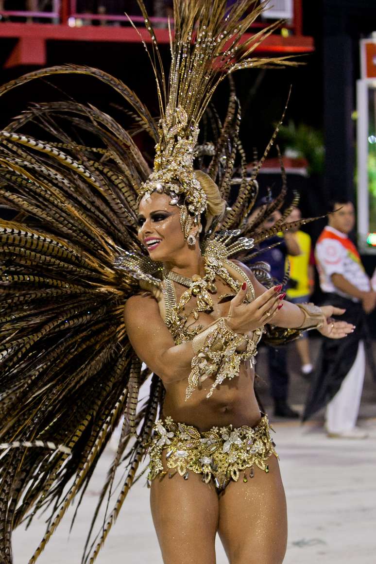 <p>Viviane Araújo é aposta do Salgueiro no Carnaval</p>