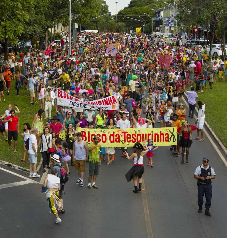 Foliões curtiram o bloco da Tesourinha pelas ruas de Brasília