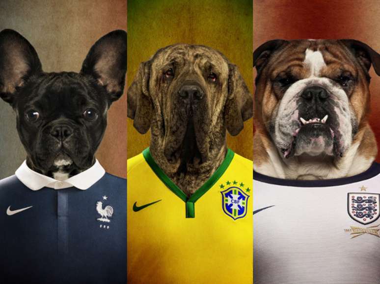 O site Life On White aproveitou a chegada da Copa do Mundo para destacar a diversidade das raças de cães. Mais da metade das 32 seleções participantes foi lembrada na relação de cachorros que vestem as camisas de seus países, como o Fila brasileiro. Confira todas as imagens na sequência