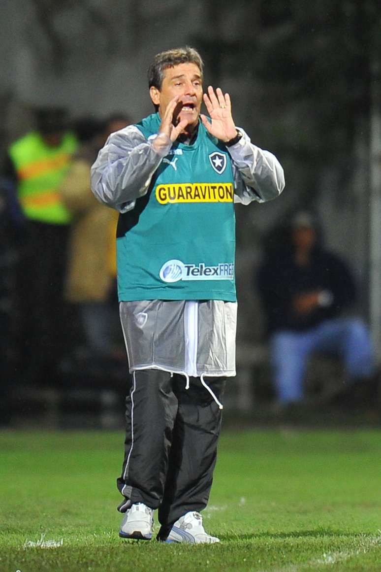 <p>Eduardo Hungaro ficou em situa&ccedil;&atilde;o complicada no Botafogo</p>