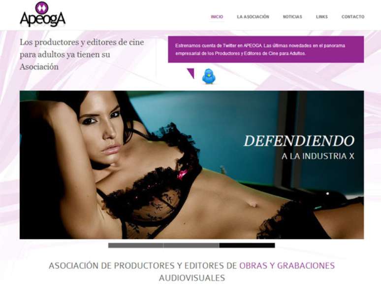 A Apeoga, associação que reúne as 14 principais produtoras de cinema pornográfico, culpa pirataria por crise