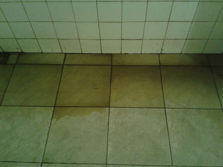 <p>Segundo relato de torcedor, sanitários para torcedores no Estádio Joia da Princesa têm poças de urina pelo chão (foto), pias quebradas e insetos mortos</p>