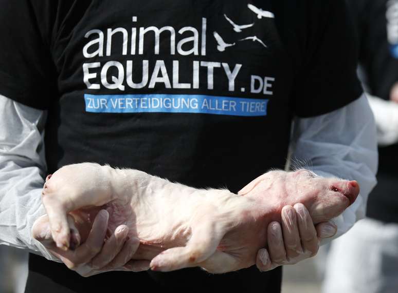 <p>Um ativista do grupo de direitos dos animais 'animalEQUALITY ' segura um leitão morto, ao participar da vigília solene com animais que morreram em indústrias de alimentos e laboratórios experimentais, para protestar contra a pecuária intensiva em Berlim</p>