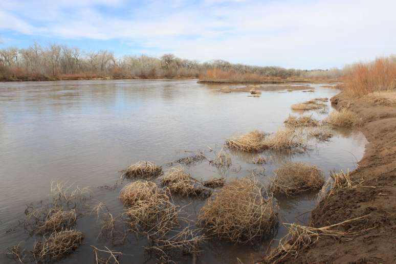 <p>O controle sobre as águas do Rio Grande estão sendo disputadas entre Texas, Novo México e Colorado</p>
