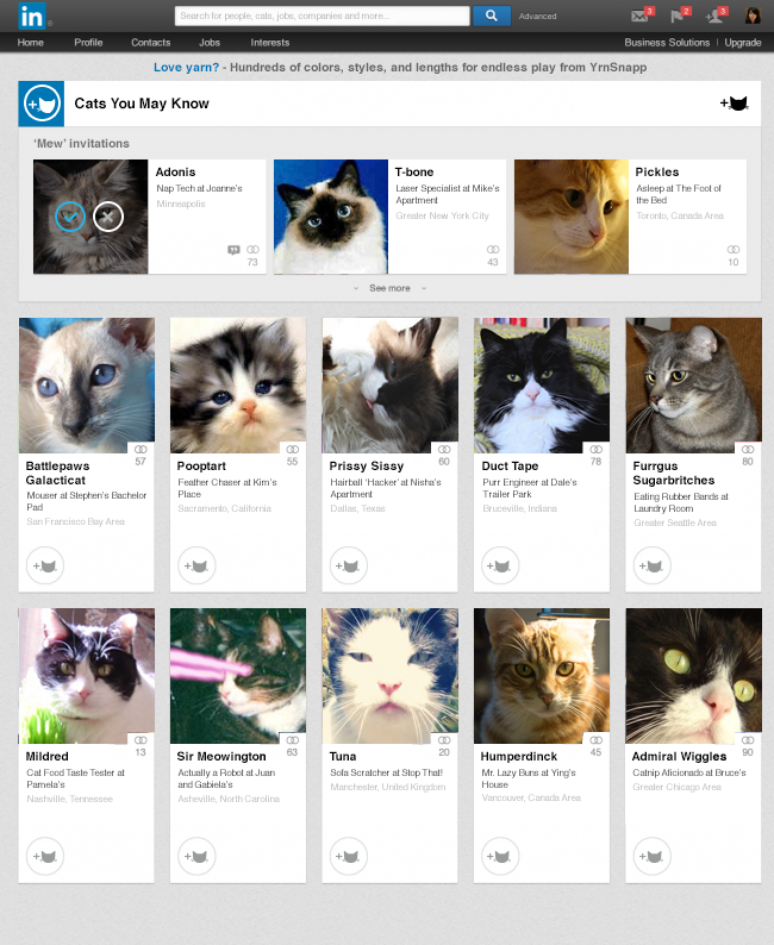 Linkedin afirma que a rede foi desenvolvida para dar uma oportunidade aos profissionais felinos 