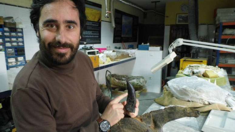 Octavio Mateus segura um dente do tamanho de uma adaga de uma nova espécie