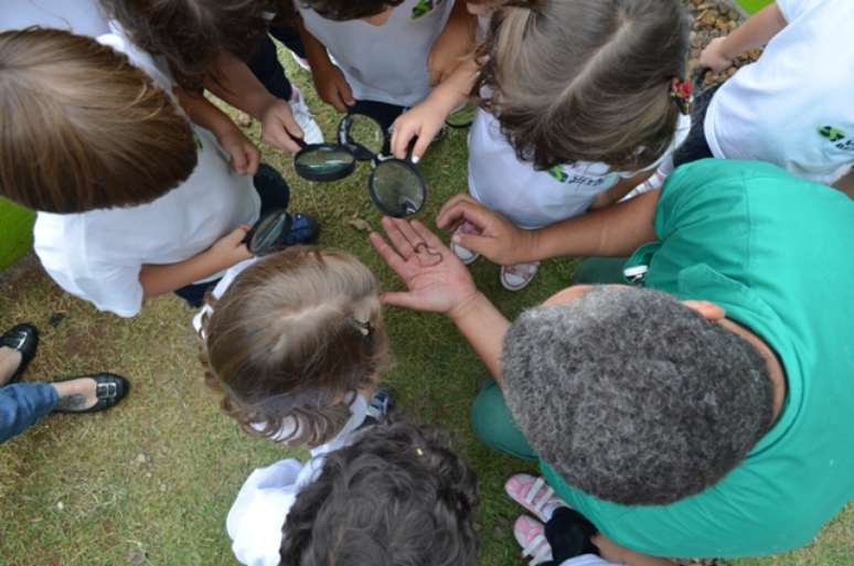 No Colégio Vital Brazil, de São Paulo, os alunos da pré-escola entram em contato com procedimentos de pesquisa por meio de atividades nos jardins da escola