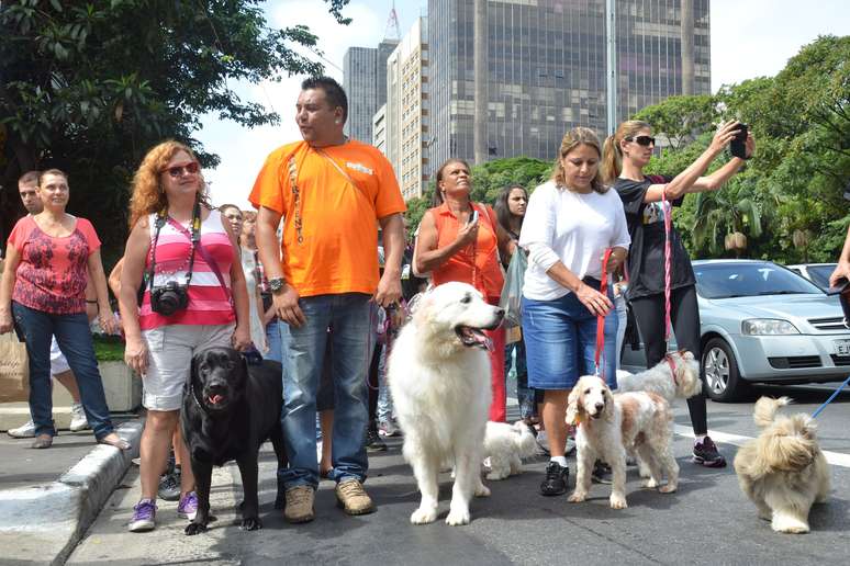 Manifestantes protestaram pelos direitos dos animais em SP