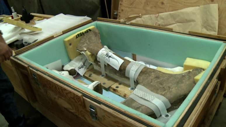 <p>Os ossos do animal foram colocados em 16 caixas de madeira, cujos rastreadores serão monitorados por um satélite </p>